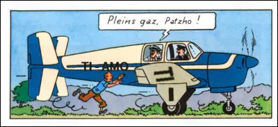 Sur cette case, les trois erreurs ont &eacute;t&eacute; rep&eacute;r&eacute;es par rapport &agrave; originale. L'une des 4 proposition est donc fausse : laquelle ?