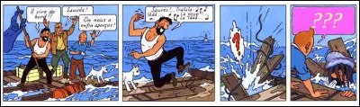 Apr&egrave;s un moment de suspense, Tintin retrouve son humour gr&acirc;ce aux fac&eacute;ties involontaires d'Haddock. Que lui dit-il, exactement ?