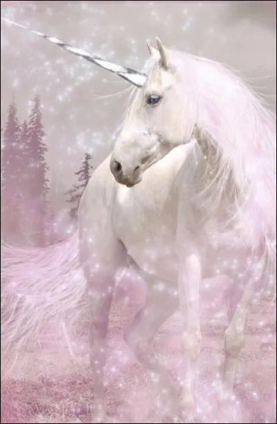 Que pouvait-on acheter au XVIIIIe si&egrave;cle ?