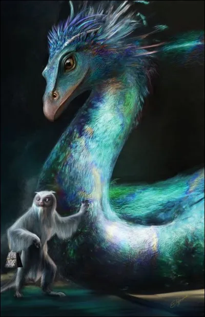 Quel est le pays natal de l'Occamy de Norbert ?