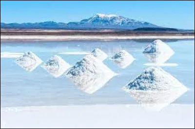 Lequel de ces pays frontaliers de la Bolivie est, avec la Bolivie, l'autre seul pays enclavé (sans accès à la mer) d'Amérique du Sud ?