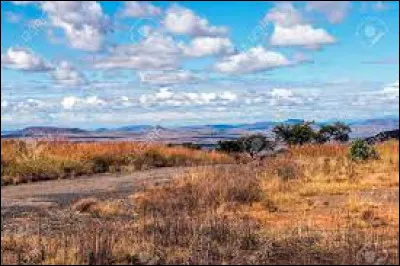 Dans lequel de ces pays se trouve la province de l'Etat-Libre ?