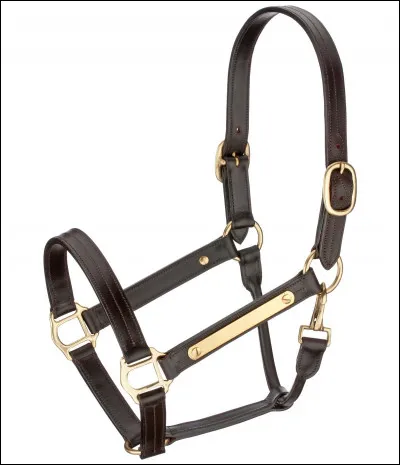 Dans quel sport utilise-t-on cet objet ?