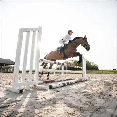 Quel est le nom de cette discipline ?
