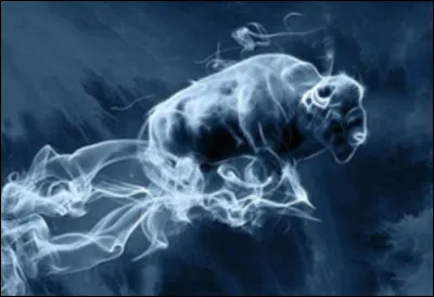 Quel est celui d'Arthur Weasley ?