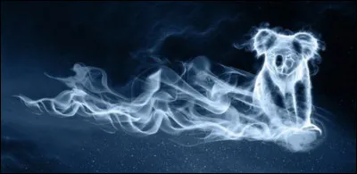Quel est le Patronus de Fred et George Weasley ?