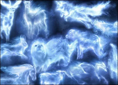 Quel est celui de Harry Potter ?