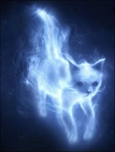 Et celui de Minerva McGonagall quel est-il ?