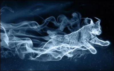 Quel est le Patronus de Remus Lupin ?