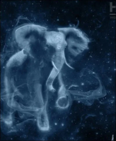 Quel est celui de Hermione Granger ?