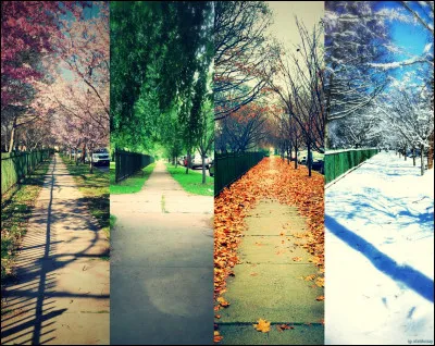 Dernière question, quelle est ta saison préférée ?