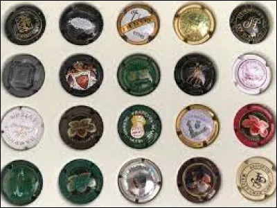 Le placomusophile est un collectionneur de capsules de Champagne.