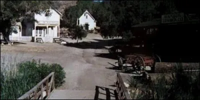 Quelle série se déroule dans la petite ville de Walnut Grove ?