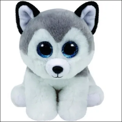 Quel est le nom de cet animal sauvage ?