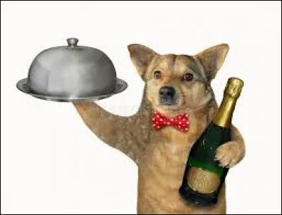 À quoi vous servirait-il ?