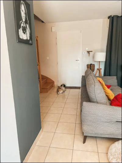 Pidi et Valouzz habitent dans :