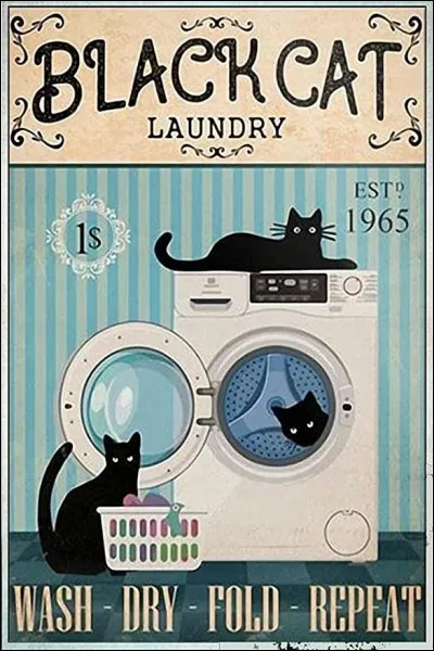 Qui est lauteur de la nouvelle « Le Chat noir » ?