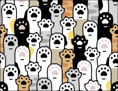 Combien y a-t-il de chats en France (2021) ?