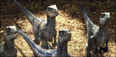 Comment sappellent ces dinosaures ?