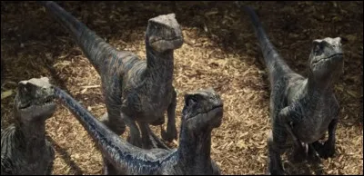 Des quatre dinosaures dont Owen soccupe, lequel est resté en vie ?