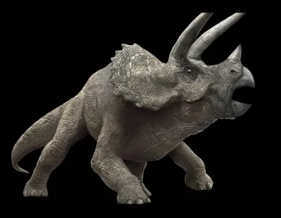 Comment sappelle ce dinosaure ?