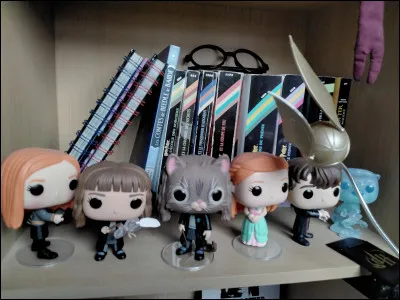 Comme s'appellent les deux meilleurs amis de Harry ?