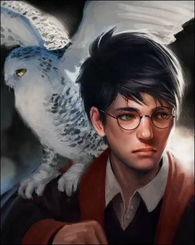 Quel est ton animal de compagnie idéal ?