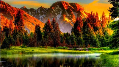 Qui pr&eacute;f&egrave;res-tu &ecirc;tre ?