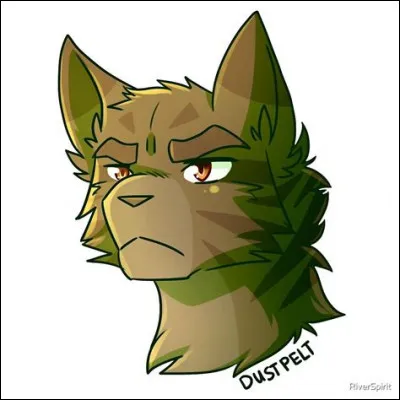 " Je t'admirais, je voulais te ressembler. Mais Plume Rousse était mon mentor. Je lui dois tout et toi tu l'as tué. Tu l'as tué et tu as trahi notre Clan. Je mourrais plutôt que de te suivre. " 
Qui pourrait dire cela ?