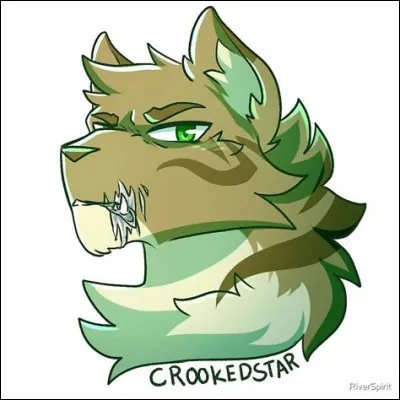 J'ai été le chef du Clan de l'Ombre. J'ai tué des chatons de mon propre clan parce qu'ils étaient "faibles" et j'ai accusé la guérisseuse de mon clan de les avoir tués. J'ai volé des chatons à d'autres clans. J'ai aussi chassé le Clan du Vent parce qu'ils ne voulait pas me donner leurs proies et je menace aussi les autres clans de subir le même sort.