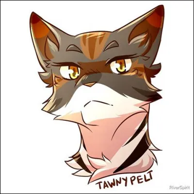 J'ai attaqué Griffe de Ronce après qu'il ait dépassé accidentellement la frontière, mais Pelage d'Or m'arrête et me dit qu'on ne devrait pas se battre. Je la traite alors de "clan-mêlée" et de guerrière déloyale à son clan. Plus tard, elle deviendra ma compagne.