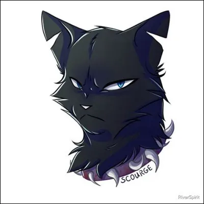 Ancien chat domestique, j'ai été le chef d'une bande de chats errants, puis le chef du Clan du Sang. "Tu vois ce qui arrive à ceux qui défient le Clan du Sang. [...]Ton ami, là, pensait qu'il pouvait nous contrôler. Il avait tort." Qui pourrait dire cela ?