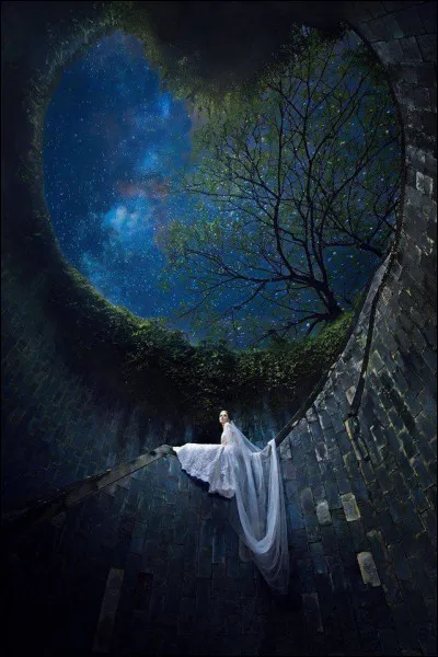 Ton palais de rêve ressemble plutôt à :