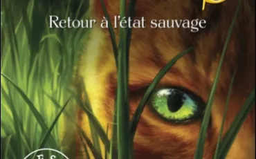 Quiz La guerre des clans