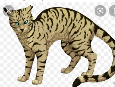 Quelle partie du corps Nuage de Feu arrache-t-il à Longue Plume ?