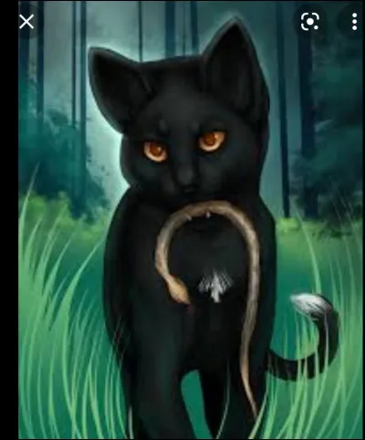 Qui est le novice qui arrive avec une mauvaise nouvelle ?