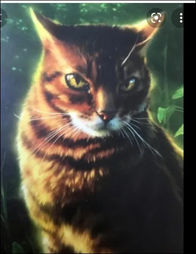 Qui apporte le cadavre de Feuille Rousse ?