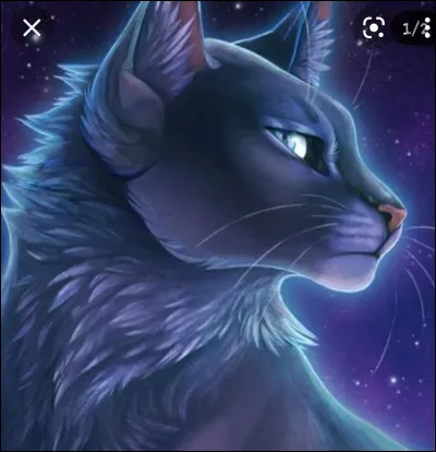 Qui est le mentor de Nuage de Feu ?