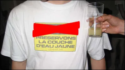 Une autre culture, celle de/du ...