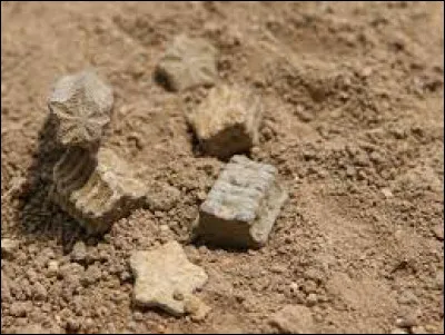 Dans quel lieu trouve-t-on des &eacute;toiles ?