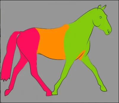 Identifiez la partie du cheval en vert.