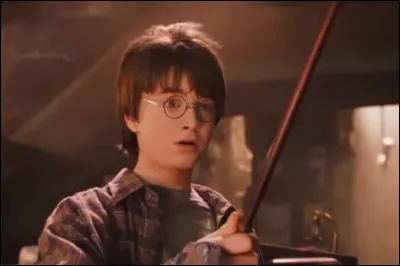 Qui est le parrain de Harry Potter surnommé Patmol ?