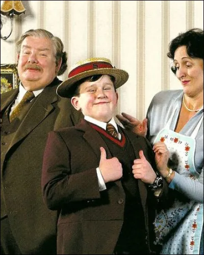 Où dort Harry Potter chez les Dursley ?