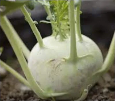 &Agrave; quel personnage se ram&egrave;ne l'image ?