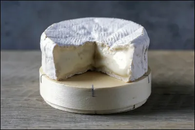 Qu'est-ce qu'un camembert ?