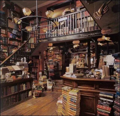 Comment s'appelle la rue où Harry et Hagrid sont allés acheter les fournitures de Harry ?