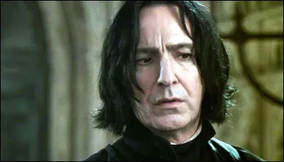 Comment s'appelle le professeur de potions ?
