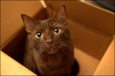 D'o&ugrave; est-il originaire ?