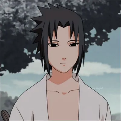 Pourquoi Sasuke a-t-il déserté le village ?