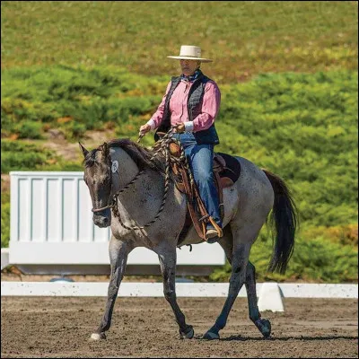 Avant de monter il faut...